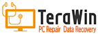 TeraWin_Logo